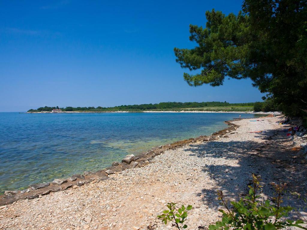 Camping Adria Mobile Homes In Camping Kastanija Novigrad Istria Dış mekan fotoğraf